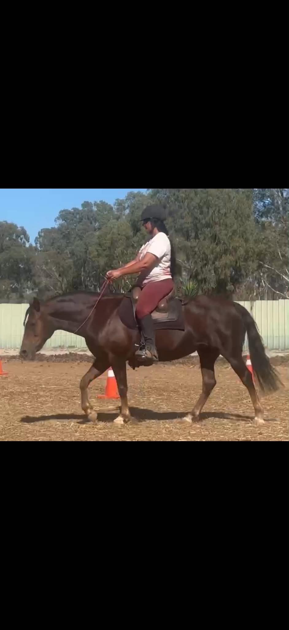 Trainer working calmly with a horse on behaviour