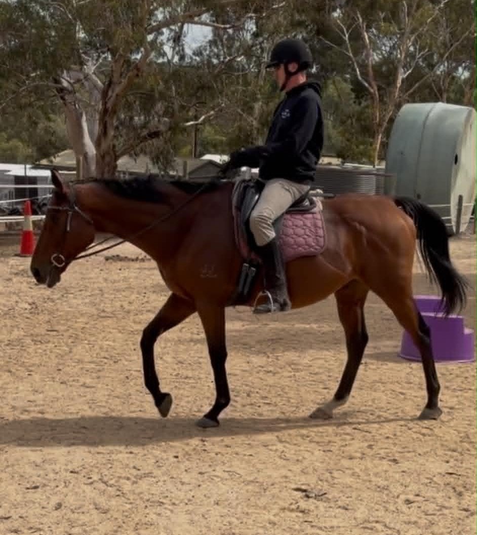 Justin Nethercott riding Mac