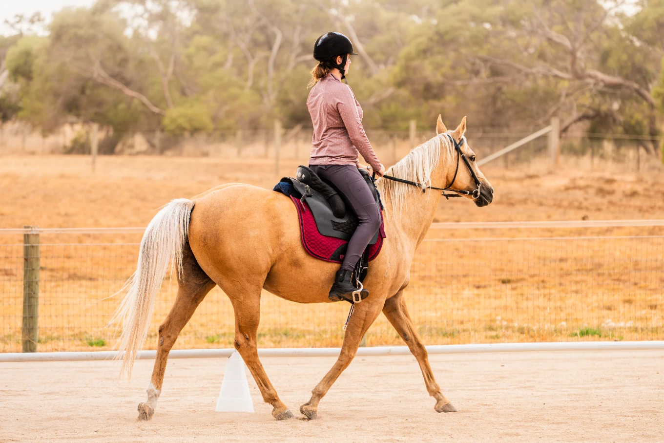 Tahlia with their horse